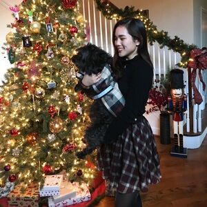 Plaid tartan checkered flare holiday skirt